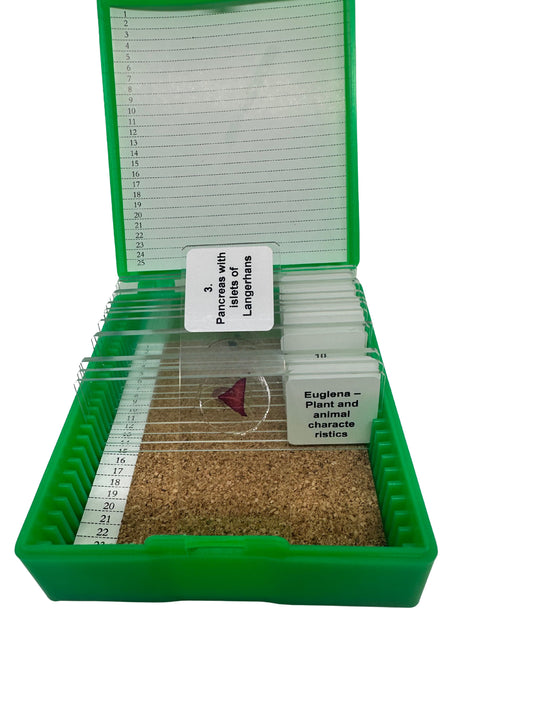 Sample & Bulk Purchase