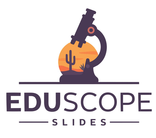 EduScope Slides