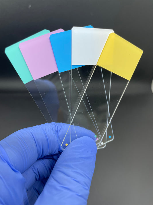 Charged Color Frosted Microscope Slides (case)