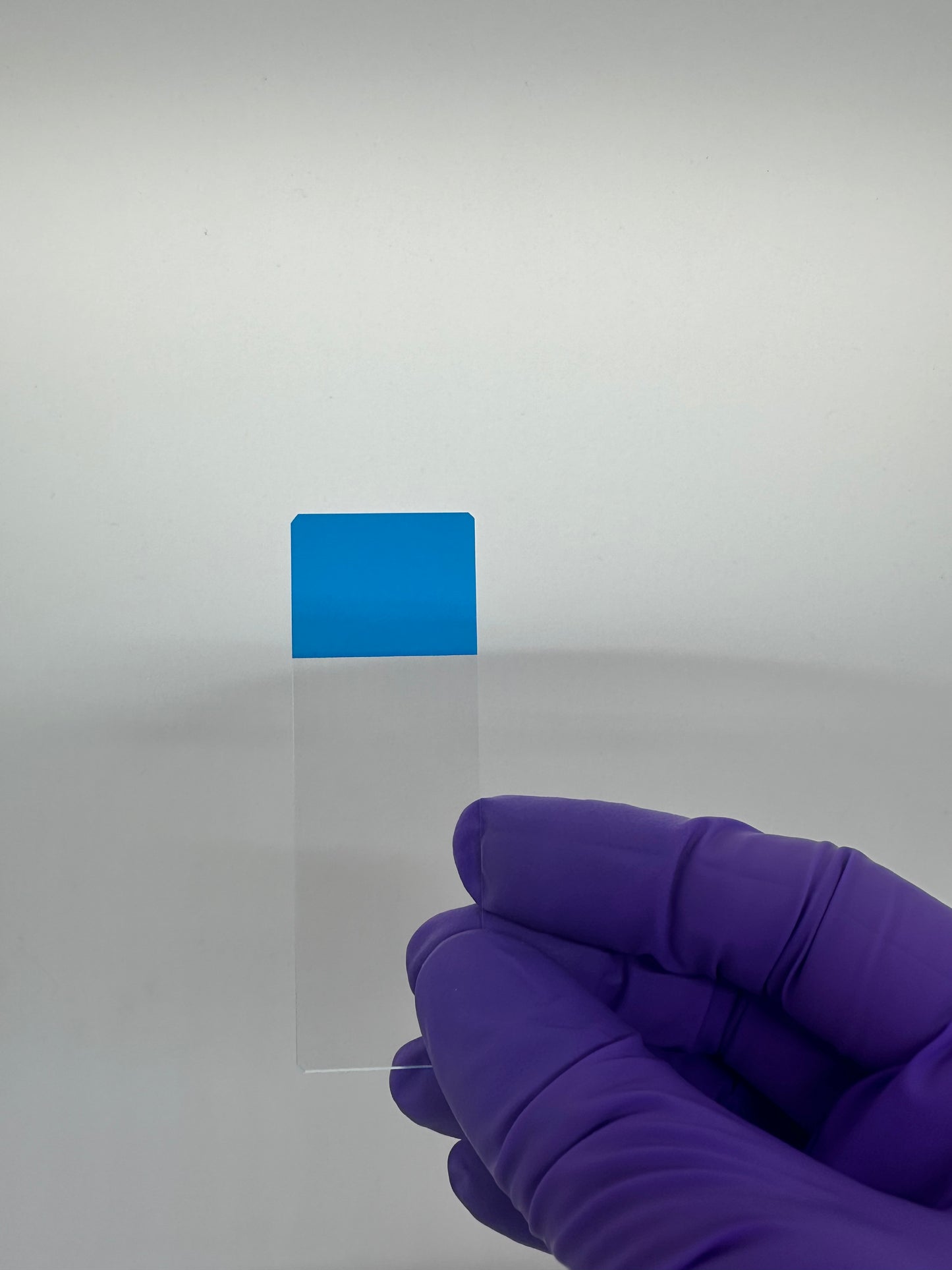 Charged Color Frosted Microscope Slides (case)