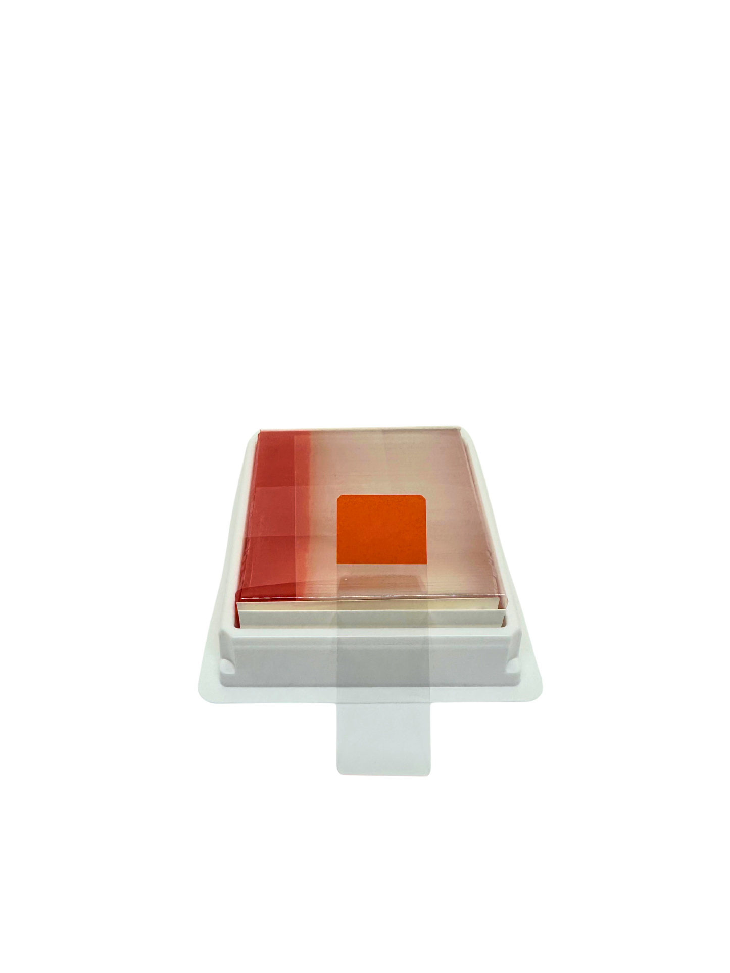Charged Color Frosted Microscope Slides (case)