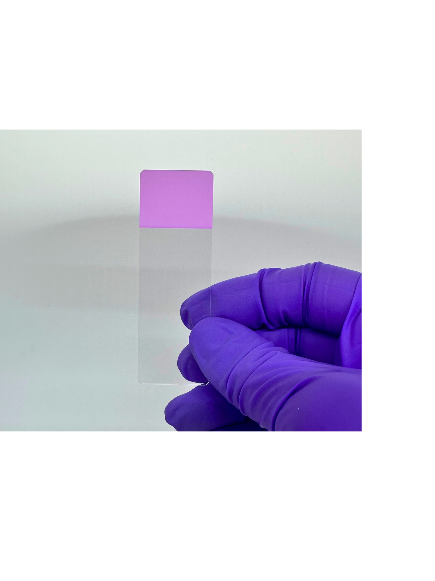 Charged Color Frosted Microscope Slides (case)