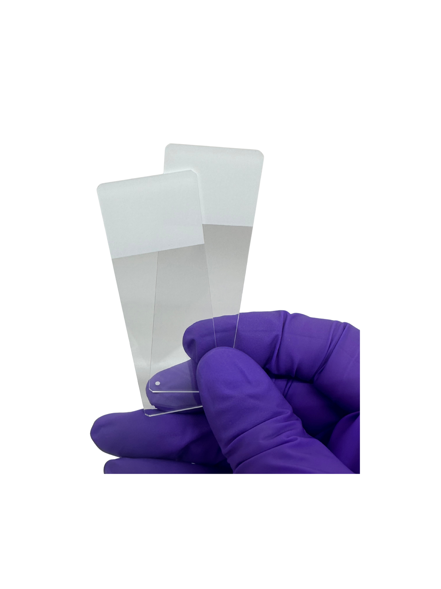 Charged Color Frosted Microscope Slides (case)