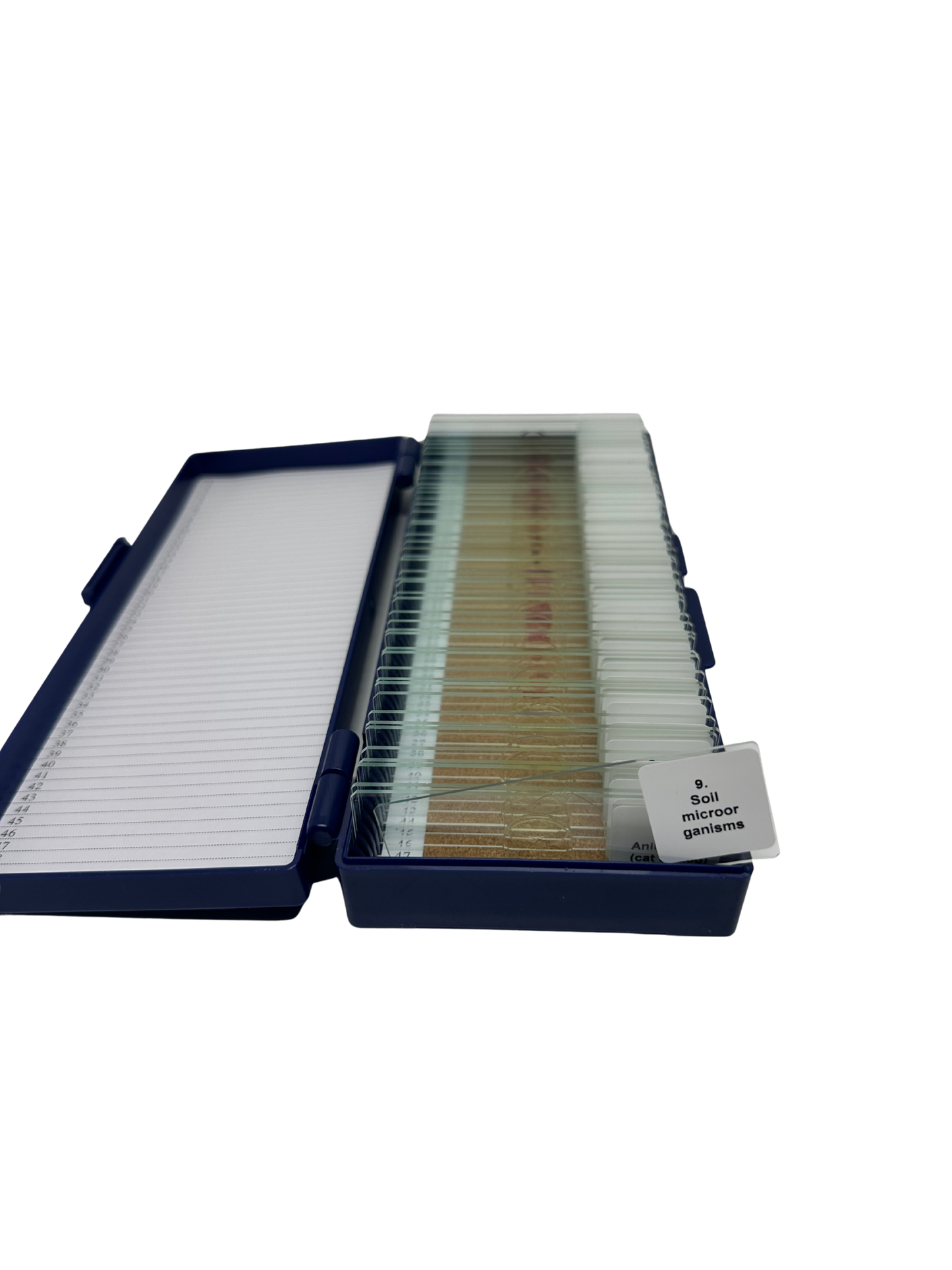 K–12 Prepared Microscope Slide Kits